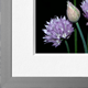 Fine Art Prints · Fotoposter